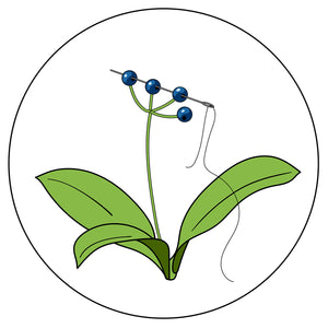 Bluebead Lily Logo. A plant with 3 bright green leaves and 4 dark blue berries; a threaded beading needle pierces through three of the berries